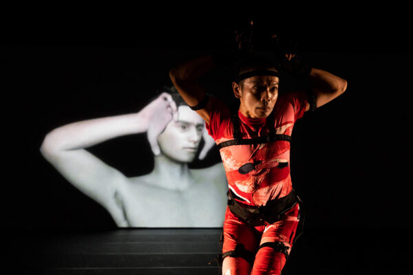 Een persoon in een rood kostuum met harnas en riemen treedt op op een donker podium met een projectie van een andere danser in wit erachter.

A person in a red costume with harness and straps performs on a dark stage with a projection of another dancer in white behind them.