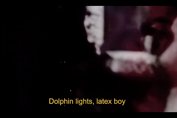 Text 'Dolphin lights, latex boy' in yellow letters on a dark, blurred background.