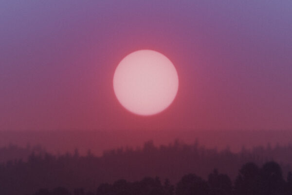 Purple and pink sky at sunset with a brightly lit sun above dark trees.