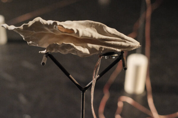 Lichte gipsen schelpvorm die op een metalen staander staat - aan de schelp is een kleine luidspreker bevestigd. 

Light plaster shell shape resting on a metal holder with audio wires connecting the shell to a tiny speaker.